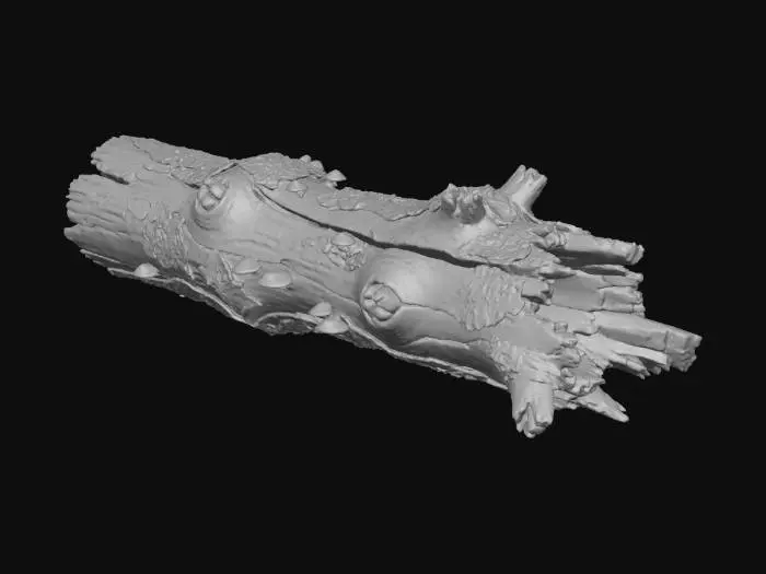 3D model for Create a highly detailed, realistic depiction of an old, fallen, weather‑beaten tree. The wood should appear deeply cracked, aged, and textured, with rugged bark, knots, splintered edges, and natural irregularities. Few Mushrooms are growing on it. Emphasize organic detail, erosion, and the natural decay of ancient wood. Use dramatic lighting to highlight the grain, fissures, and rough surfaces. The background should be clean and minimal to make the trunk suitable as a miniature model reference.
