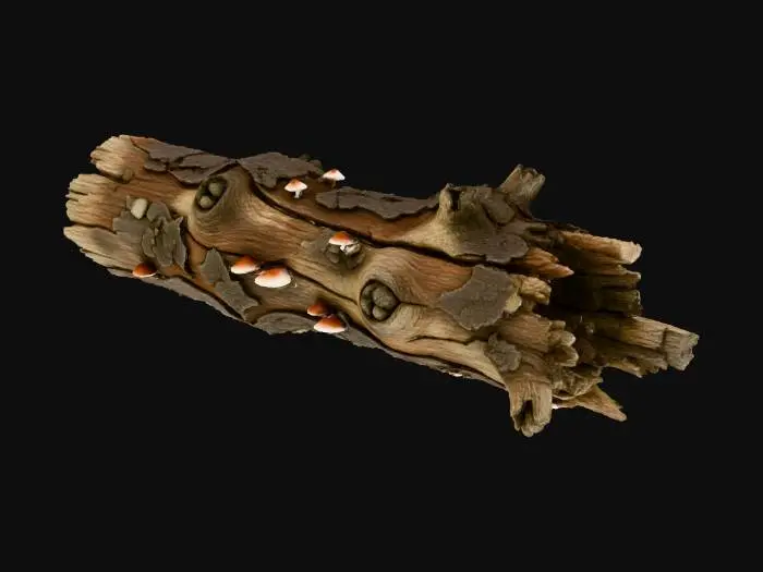 3D model for Create a highly detailed, realistic depiction of an old, fallen, weather‑beaten tree. The wood should appear deeply cracked, aged, and textured, with rugged bark, knots, splintered edges, and natural irregularities. Few Mushrooms are growing on it. Emphasize organic detail, erosion, and the natural decay of ancient wood. Use dramatic lighting to highlight the grain, fissures, and rough surfaces. The background should be clean and minimal to make the trunk suitable as a miniature model reference.
