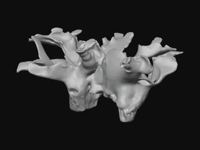 3D model for Wooden Artistry