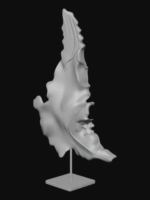 3D model for Ethereal Driftwood