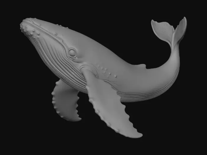 3D model for Prismatic Whale
