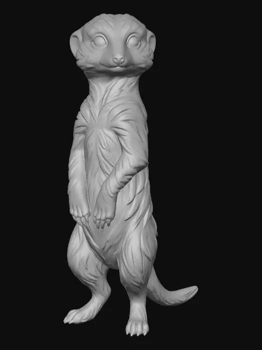 3D model for Meerkat