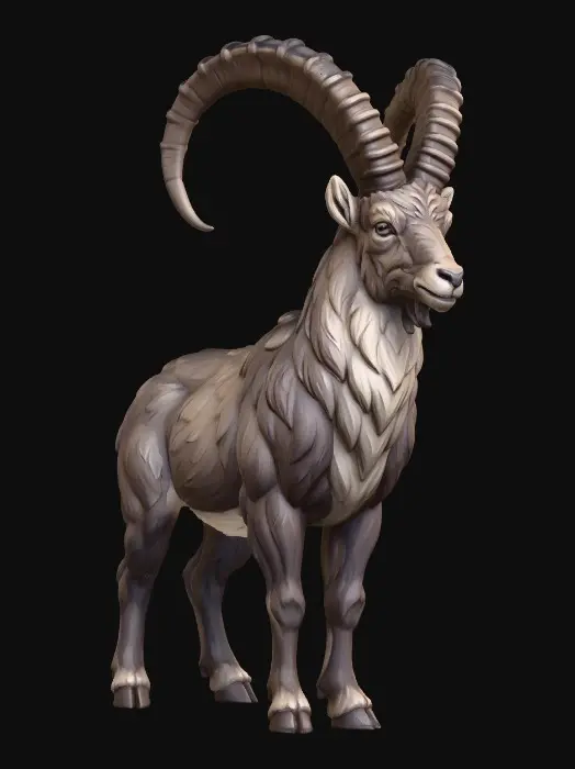3D model for Alpine Ibex