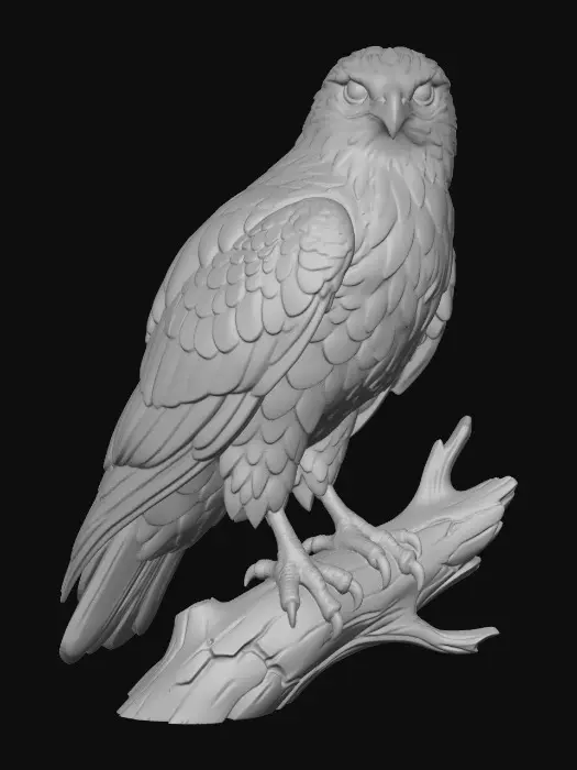 3D model for Hawk
