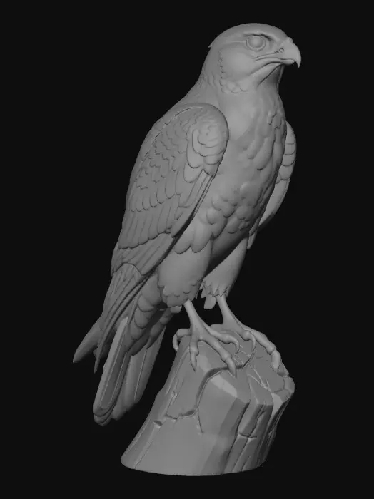 3D model for Peregrine Falcon