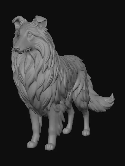 3D model for Collie
