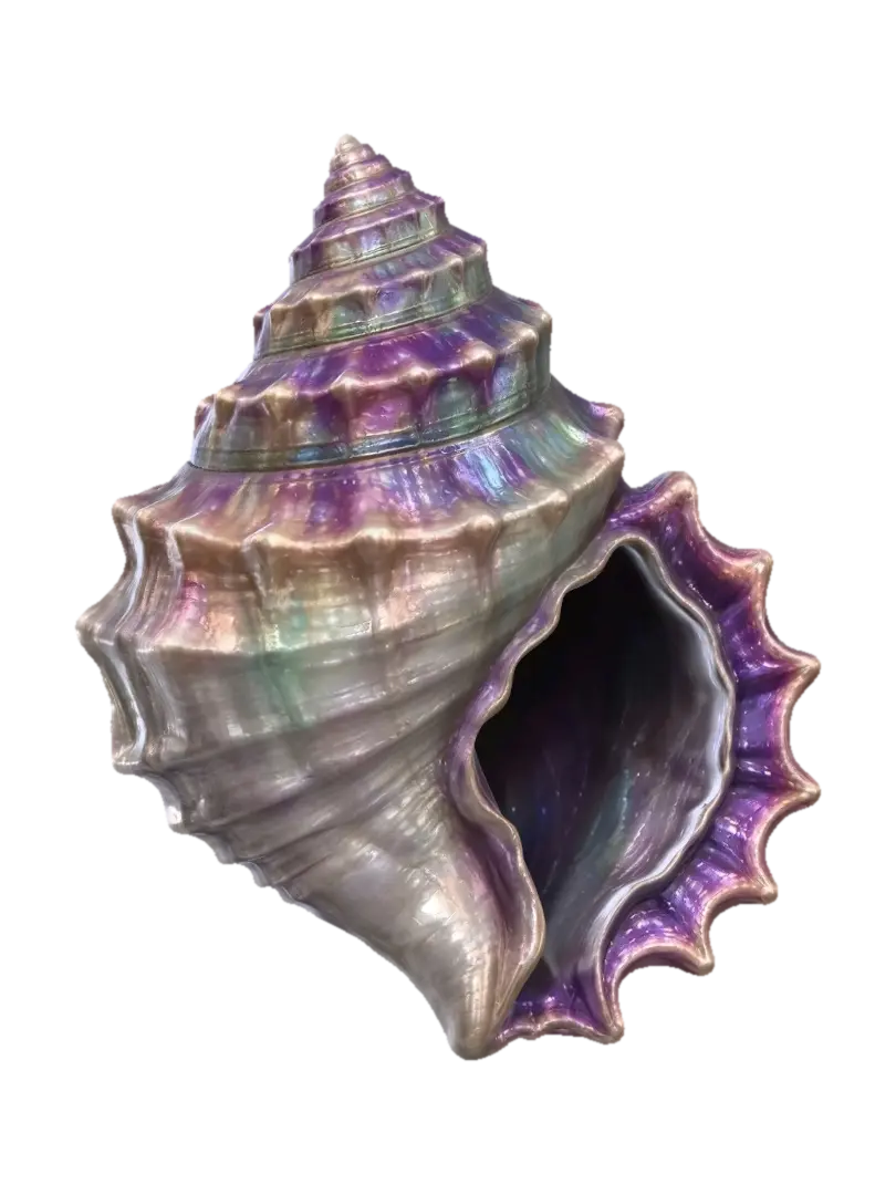 ocean