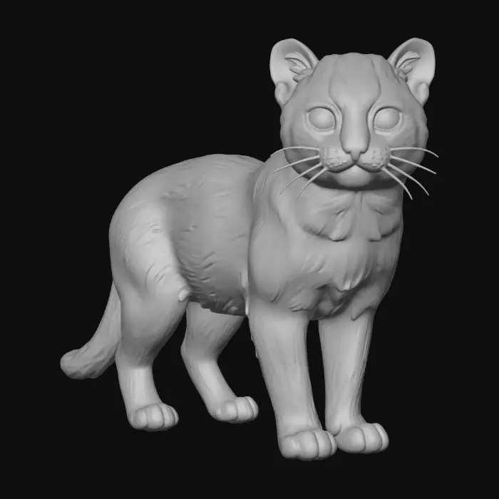 3D model for Rusty-spotted cat