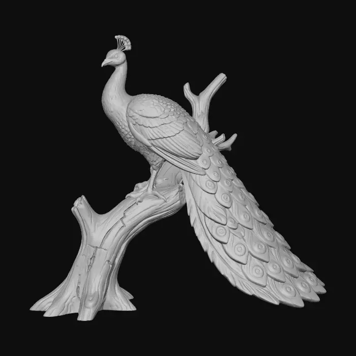 3D model for Peacock