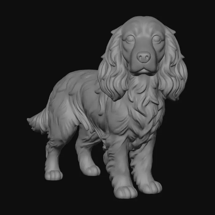 3D model for Spaniel