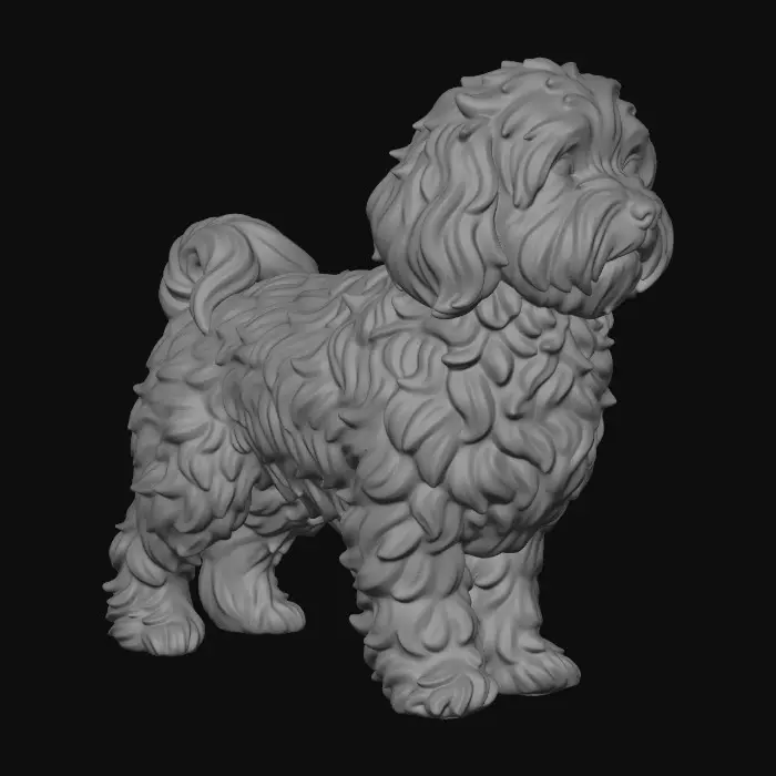 3D model for Bolognese