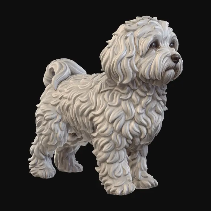 3D model for Bolognese