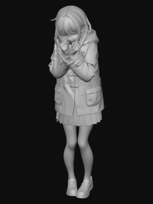 3D model for Shy Reflection