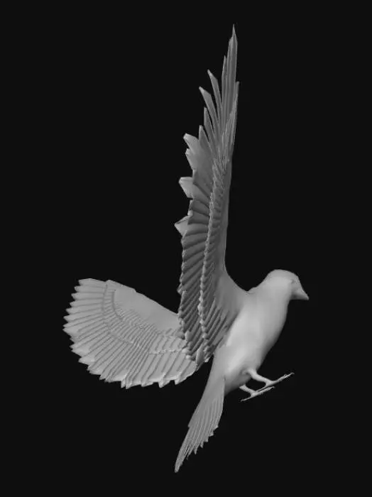 3D model for animated-pigeon-3d-model