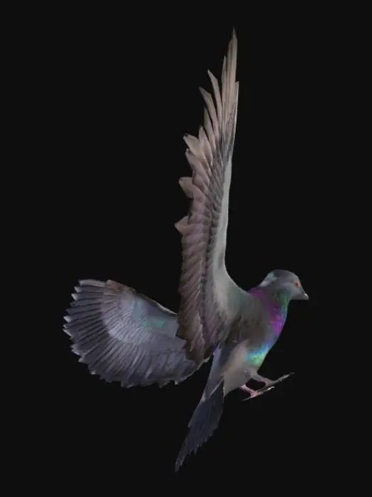 3D model for animated-pigeon-3d-model