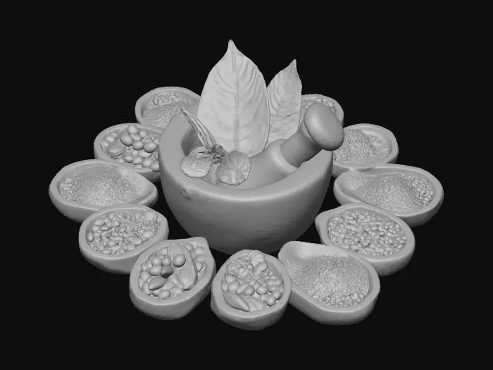 3D model for Herbal Harmony
