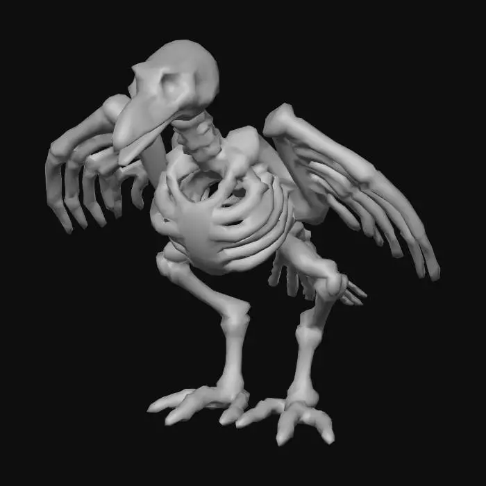 3D model for Bird Bonesкаn