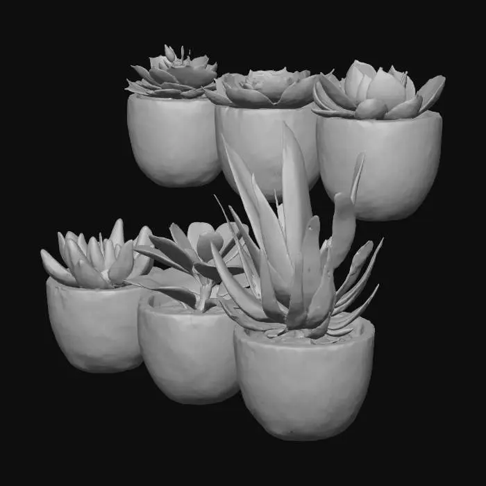 3D model for Succulent Serenity