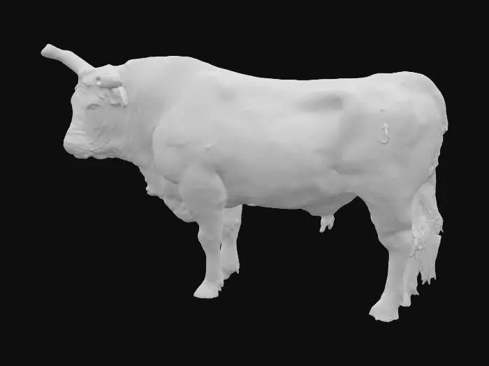 3D model for Bushwacker bull