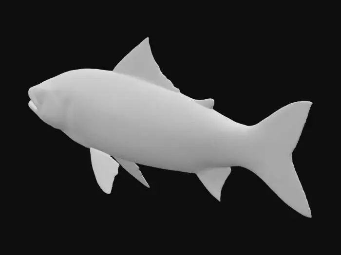 3D model for i would like a "red band trout" fish model. 