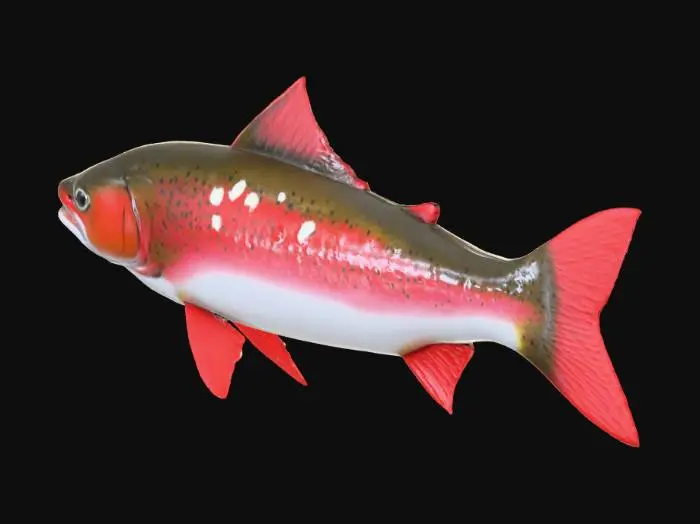 3D model for i would like a "red band trout" fish model. 