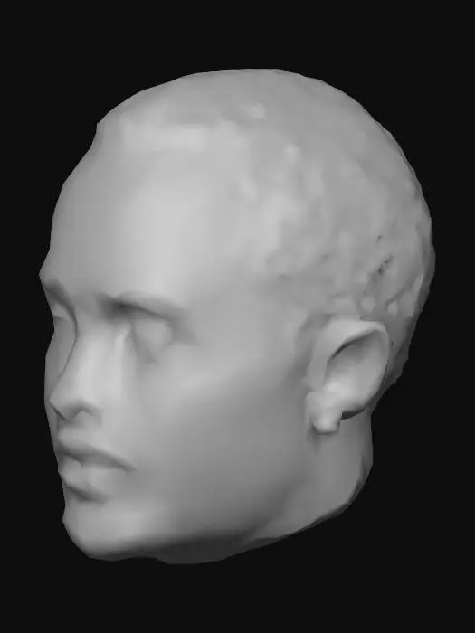 3D model for Face Portrait 1
