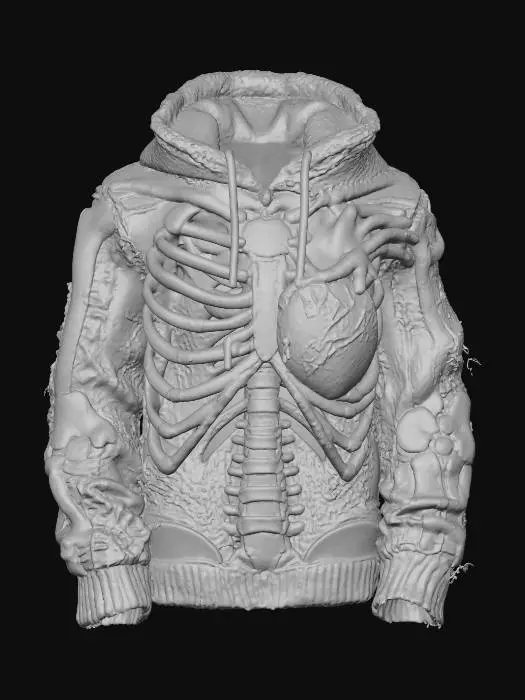 3D model for Anatomical Hoodie