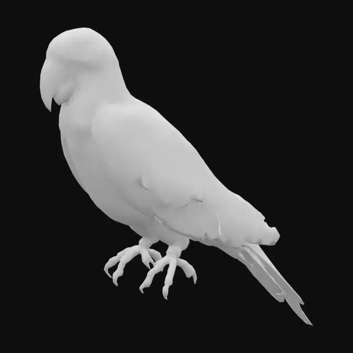 3D model for Majestic Macaw