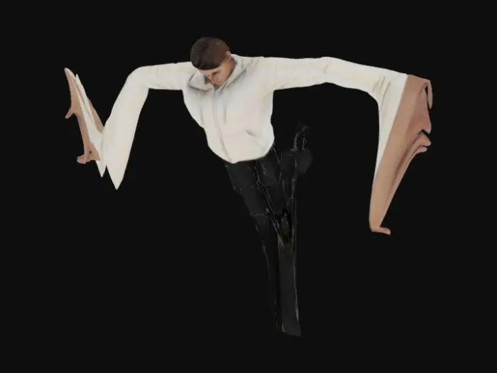 3D model for T-Pose Expression