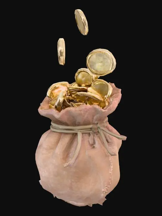 3D model for Fortune Spill