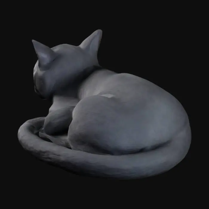 3D model for sleeping cat
