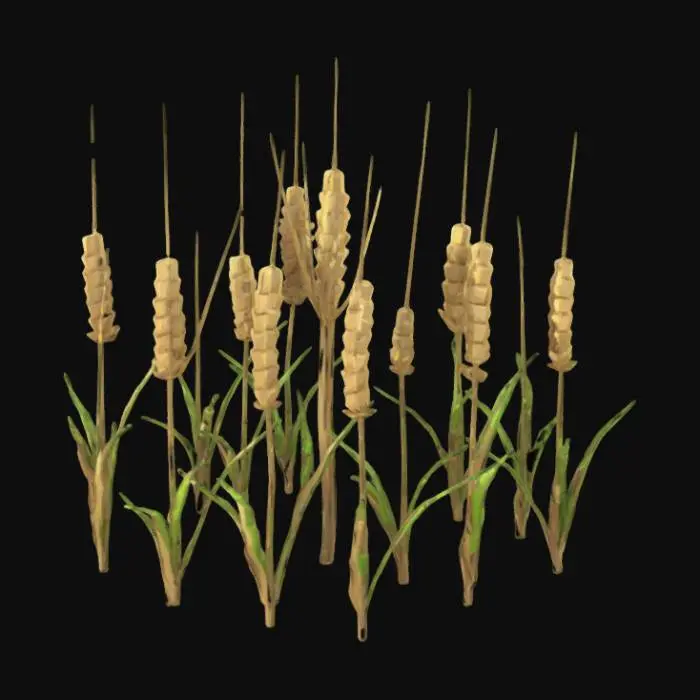 3D model for spiga di grano
lowpoly stile minecraft