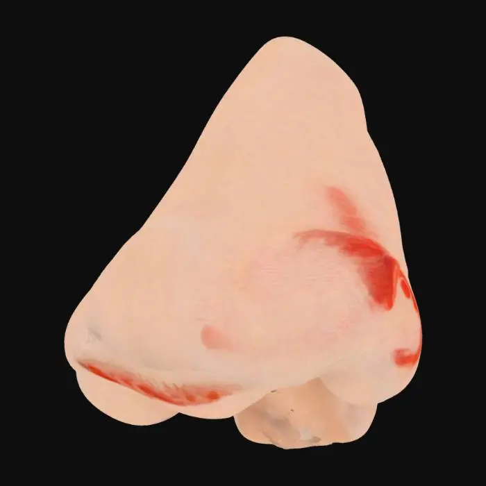 3D model for Nose Sculpture