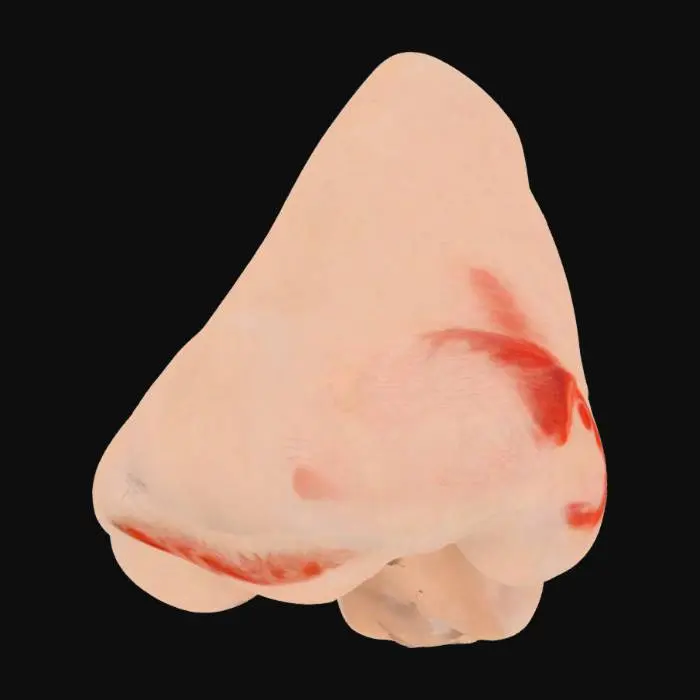 3D model for Nose Sculpture