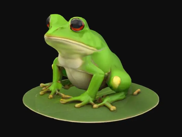 3D model for a frog