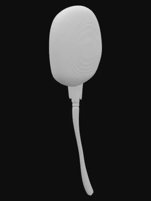 3D model for Pacinian Corpuscle Diagram