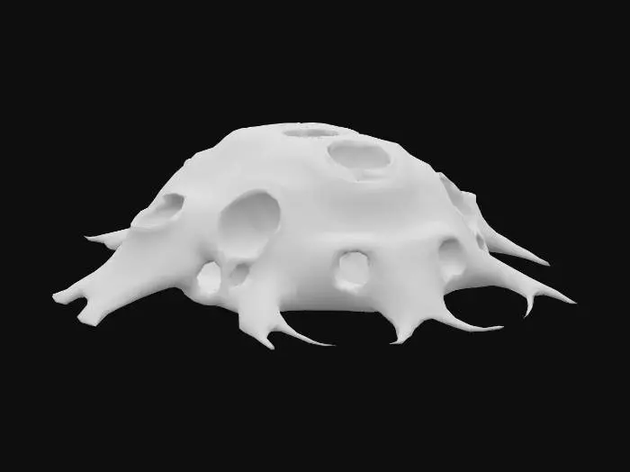 3D model for Spotted Shellback