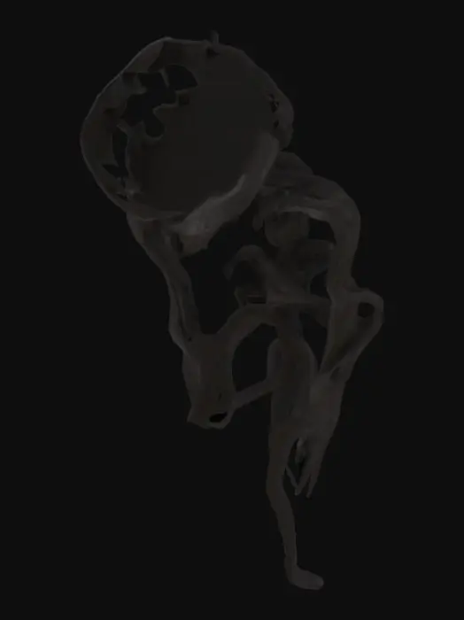 3D model for Bacteria