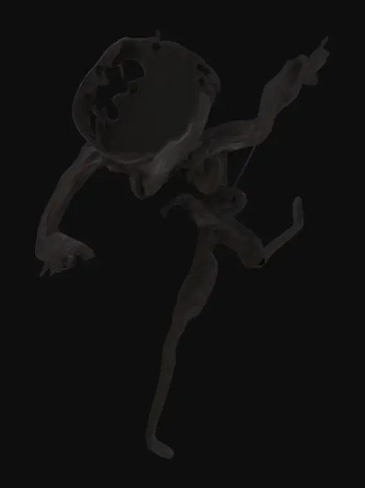 3D model for Bacteria