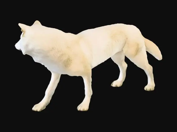 3D model for Lone White Wolf