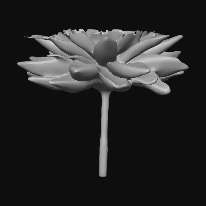 3D model for Crimson Dahlia