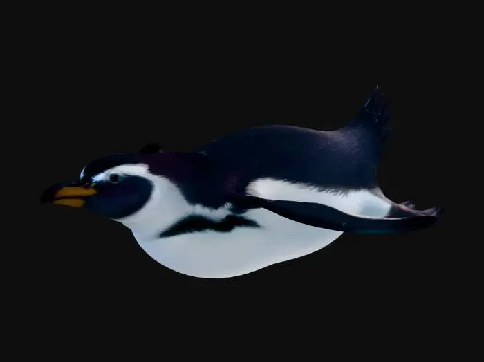3D model for Underwater Penguin Glide