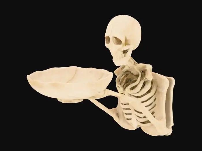 3D model for Skeleton Server