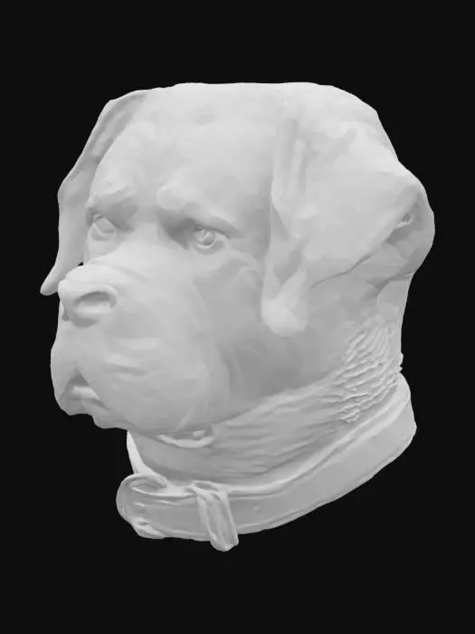 3D model for Regal Rottweiler