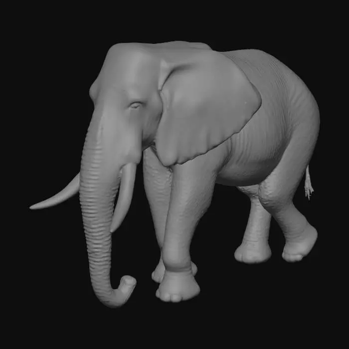 3D model for A large African Bush Elephant with detailed wrinkled skin, realistic tusks, neutral walking pose, 3D game asset, high-resolution textures.