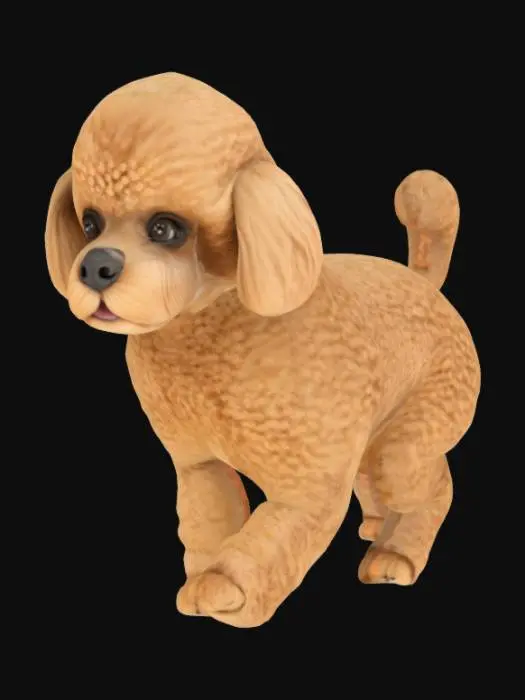 3D model for high-quality 3D model of the same toy poodle, realistic full body, freshly trimmed coat in classic poodle cut, cleanly shaped legs and ears, neatly brushed tail, symmetrical grooming, tidy appearance, same pose and lighting, photorealistic texture, clean background