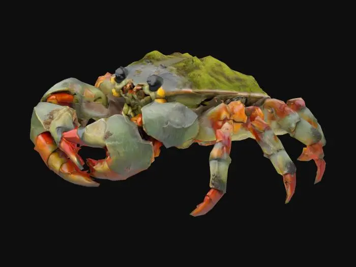 3D model for a Bog Crab in the style of Arthur Rackham. This large vicious crab has a moss and barnacle covered shell, large pincer claws, and black eyes. The color scheme should be dominated by greys, greens, reds, browns, blacks and a touch of yellow for the eyes., Medieval, Fantasy, Hand Painted, Highly Detailed