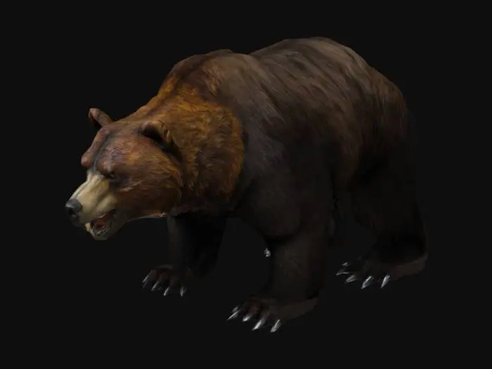 3D model for A large grizzly bear, Arthur Rackham, detailed fur, heavily textured, dark brown fur, sharp claws, menacing eyes, muted colors with browns and blacks, predominantly dark brown. menacing pose, Medieval, Fantasy, Hand Painted, Highly Detailed