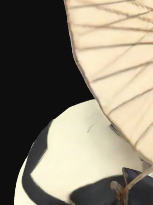 3D model for Panda Chef Delight