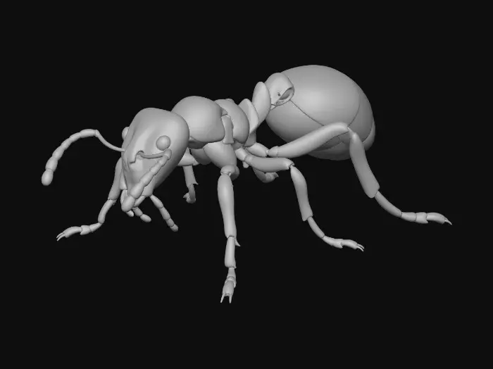 3D model for Ant Warrior